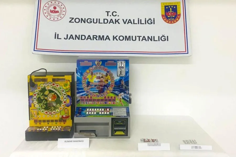 Alaplı