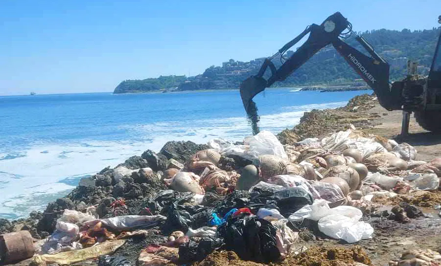 Kozlu’da temizlik seferberliği başladı