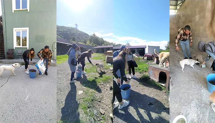MHP’liler Kozlu’da can dostları unutmadı