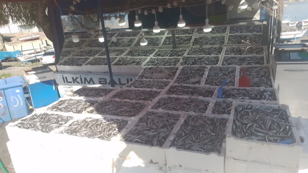 Duyduk duymadık demeyin... Kozlu