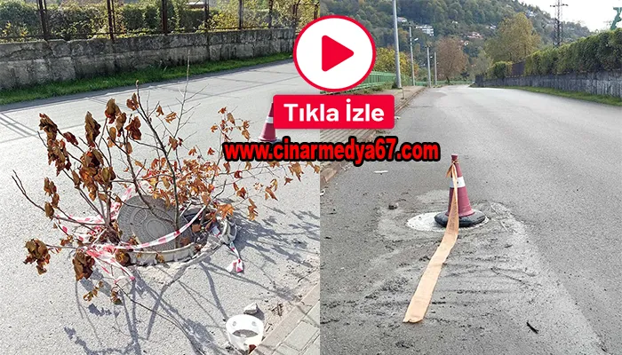 Çınar yazdı, Telekom yaptı… Tehlike bertaraf edildi…