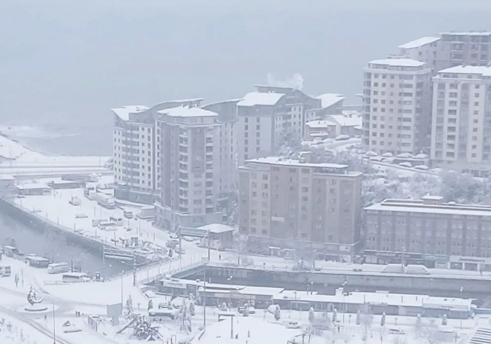 Kozlu