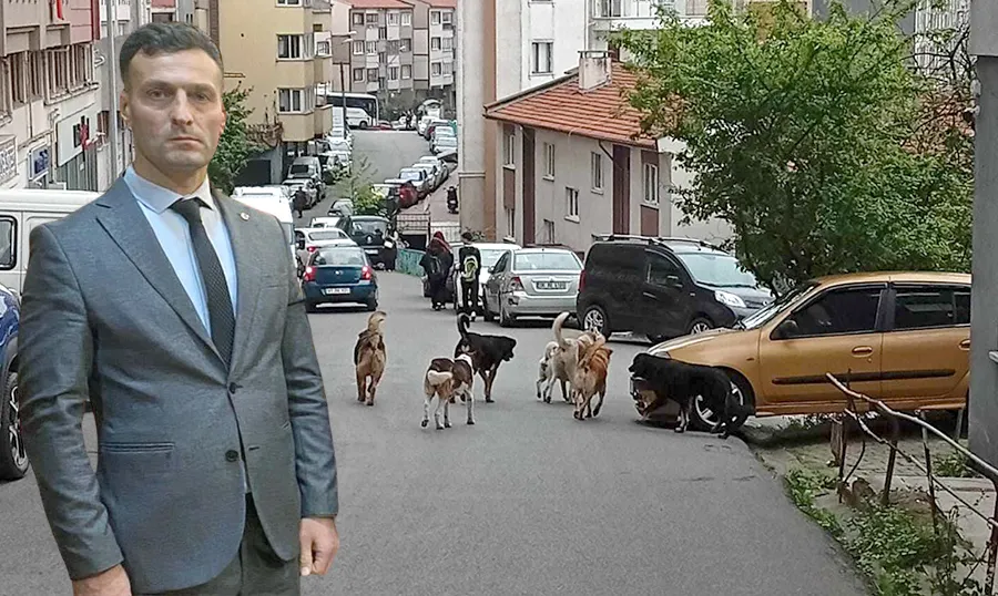 MHP’li Atakan Karali’den uyarı: Kozlu sokaklarında tehlike büyüyor… Sorumluluğunuzu yerine getirin…