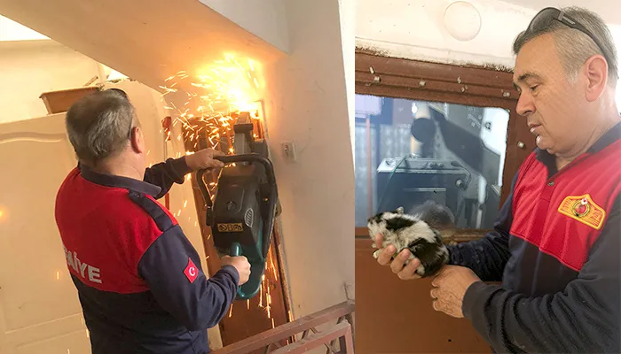 Kozlu’da sıkışan yavru kediyi, kapıyı keserek kurtardılar