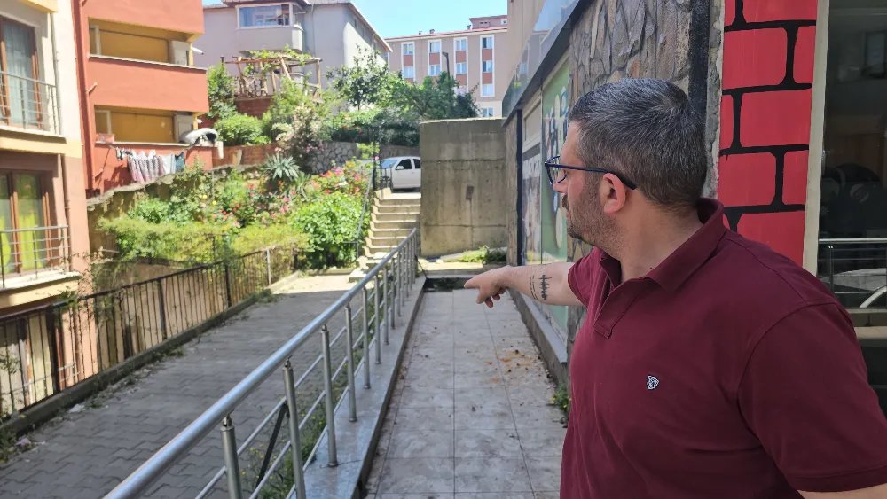 Zonguldak’ta iç organları çıkarılmış 2 kedi için polis inceleme başlattı