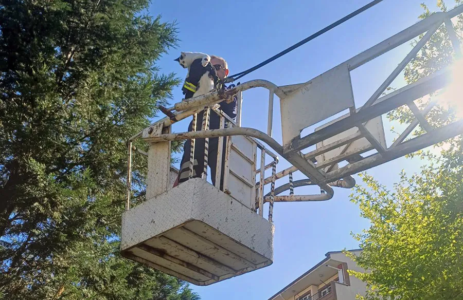 Kozlu İtfaiyesi alarma geçti… 
