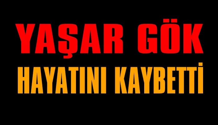 Yaşar Gök