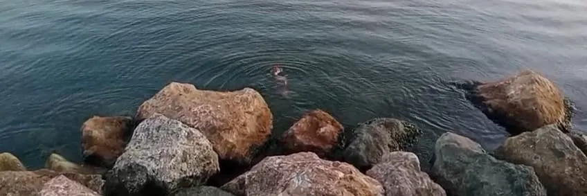 Zonguldak