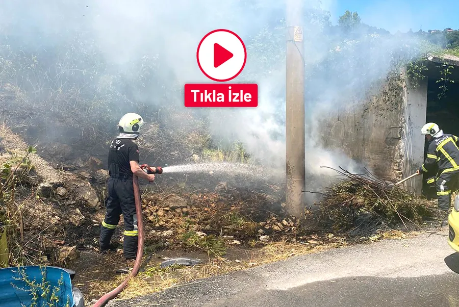 Kozlu’da ormanlık alanda yangın çıktı: Sabotaj şüphesi var