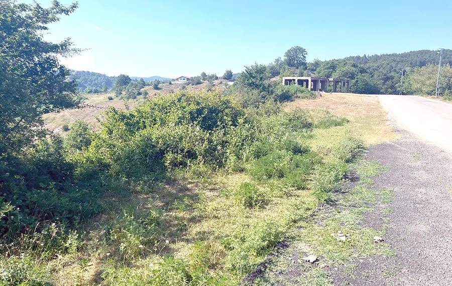 Çardaş Köyü