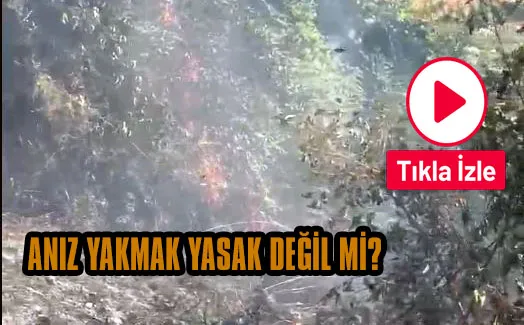 Kozlu’da anız yangını paniğe neden oldu