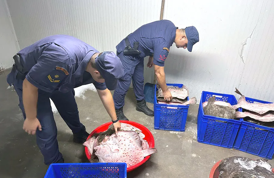 Kilimli’de ‘Kalkan’ operasyonu