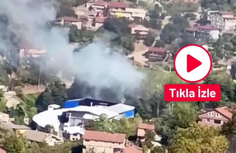 Zonguldak kent merkezinde orman yangını çıktı...