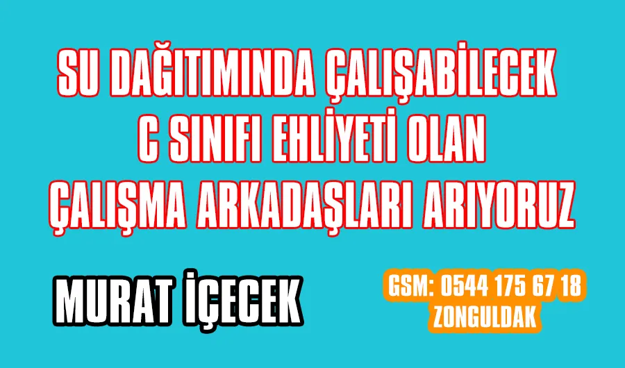 ÇALIŞMA ARKADAŞLARI ARANIYOR