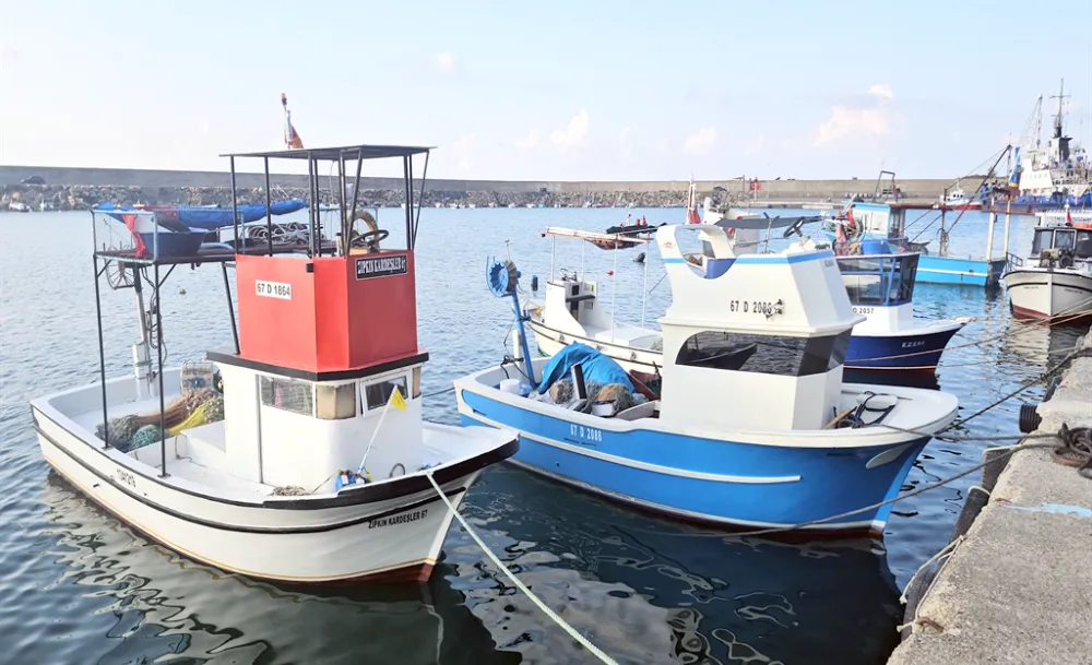 Zonguldak’ta balıkçılar eli boş döndü