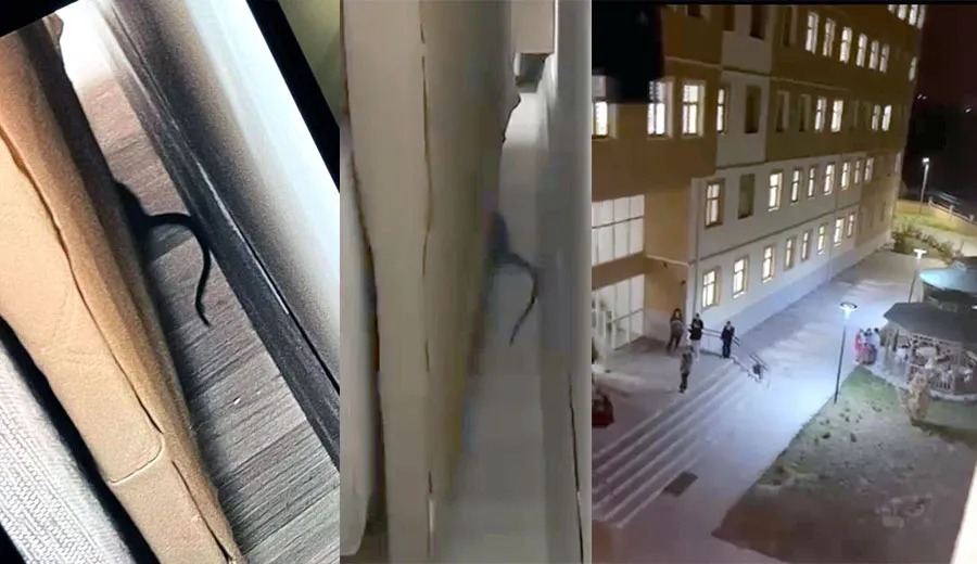 KYK yurdunda fare istilası: Öğrenciler odaları terk etti