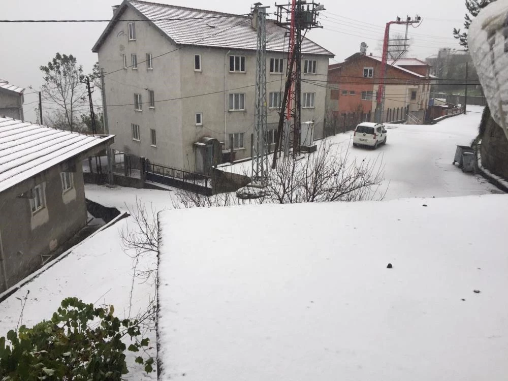Kozlu